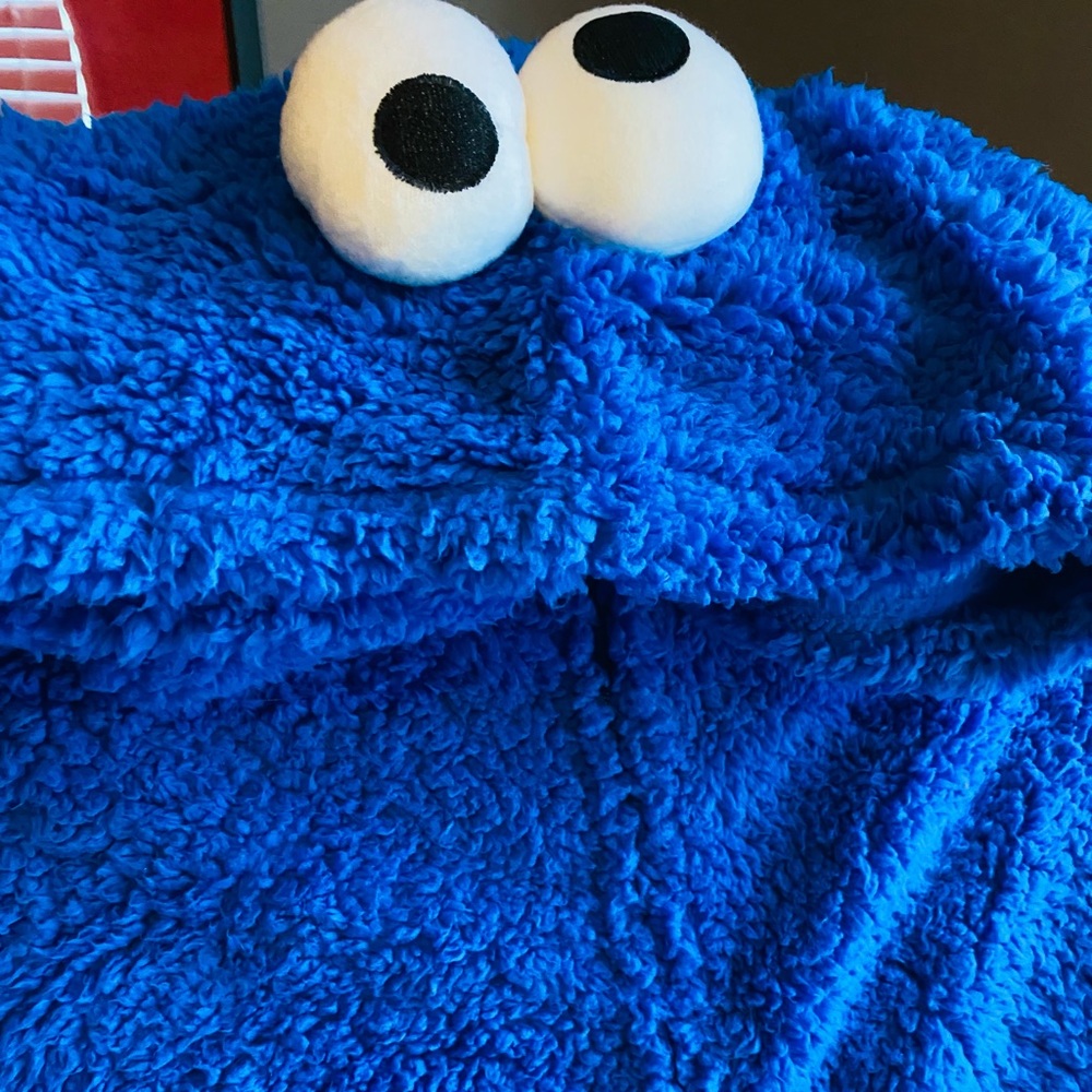 Cookie Monster Costume- adult L-XL